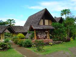 The Gauguin Museum